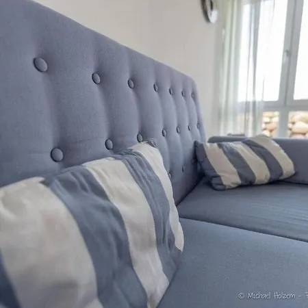 Seahorses In The Molenhuus *