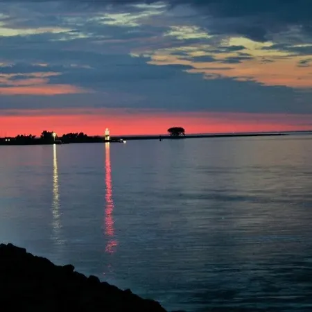 Seahorses In The Molenhuus Kappeln