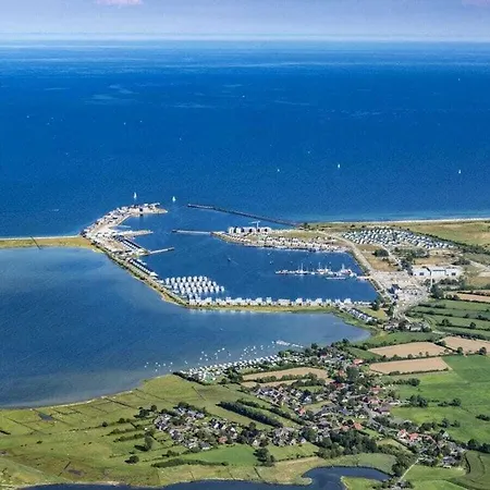 Seahorses In The Molenhuus Dom wakacyjny *