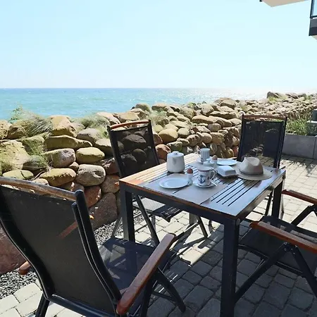 Seahorses In The Molenhuus Kappeln