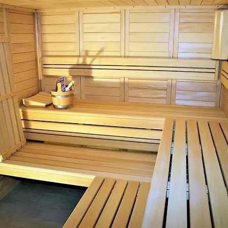 Seahorses In The Molenhuus