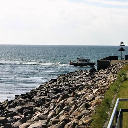 Seahorses In The Molenhuus *